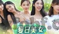 大象视频下载app免费版-探索大象视频下载的便捷之路，免费版APP的魅力