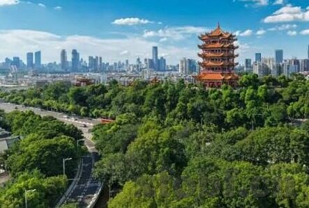 果冻传媒下载地址-探索果冻传媒的魅力，从下载地址到创意内容的无限可能