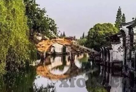 九九成人免费视频在线观看-九九成人免费视频，在线娱乐的新选择
