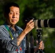 看黄台的app大象传媒-探索网络内容安全，以看黄台的app大象传媒为例