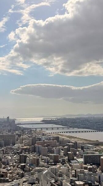 麻豆传媒刘沁园播放-穿越风云，麻豆传媒刘沁园的银幕魅力