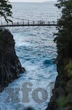 麻豆传媒最新出品-麻豆传媒新作，再掀波澜——数字娱乐的新风口