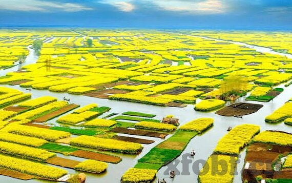麻豆果冻精东传媒在线-麻豆果冻，精东传媒在线的创意美食与文化交融