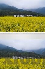欧美成人免费草草影院视频麻豆-平台的现状与影响，欧美成人免费草草影院视频麻豆的深度探索