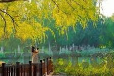 人妻a系列视频免费-探索人妻角色的多维度呈现，从A系列视频谈起