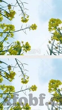 日韩毛片基地Av-探索日韩影视文化的多元视角，从艺术欣赏到文化交流的桥梁