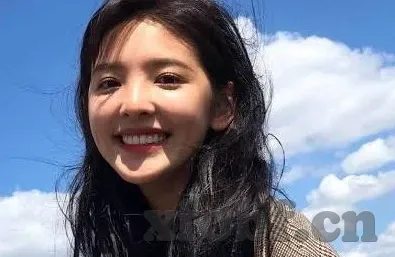 糖心vlog官网首页蜘蛛-探秘网红新宠，糖心Vlog官网首页与搜索引擎优化的蜘蛛之旅