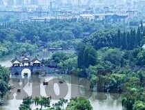 糖心vlog旧版黄版下载-下隐秘的探索，揭秘糖心Vlog旧版黄版的数字迷雾