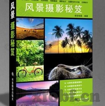 在线播放蜜桃麻豆精东av-探索色情内容在互联网中若隐若现的轮廓